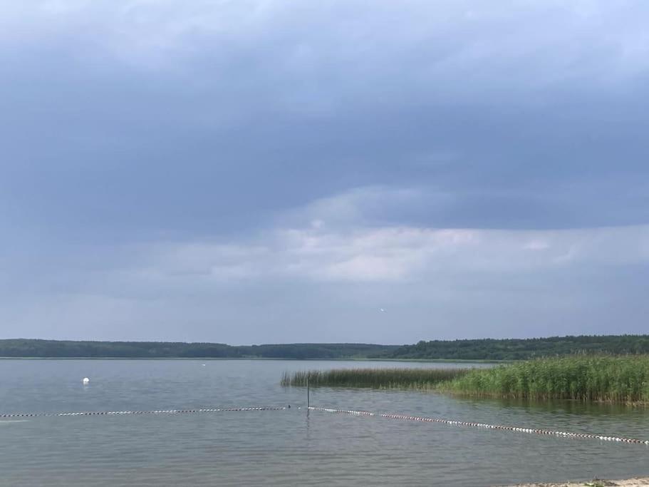 Warin Gemuetliches Holzhaus Am See מראה חיצוני תמונה